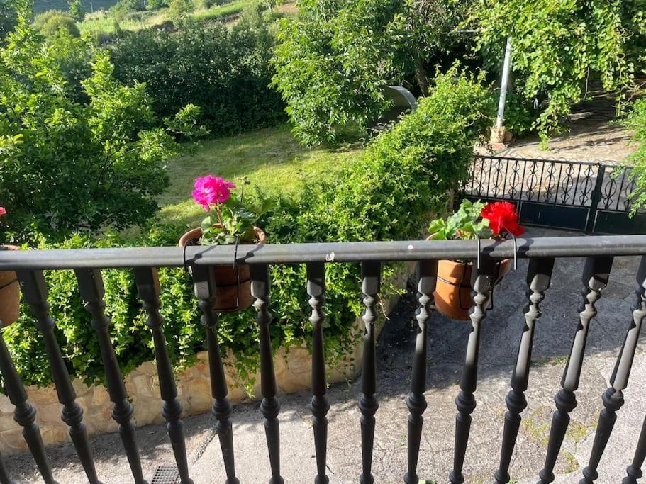 Willa Casa A Boga Ribeira Sacra Abeleda Zewnętrze zdjęcie