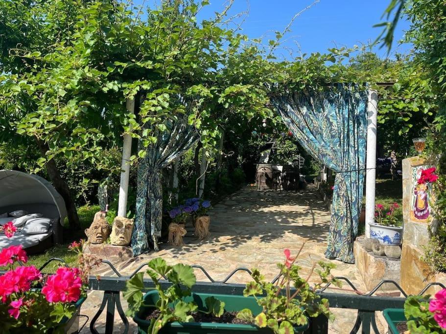 Willa Casa A Boga Ribeira Sacra Abeleda Zewnętrze zdjęcie
